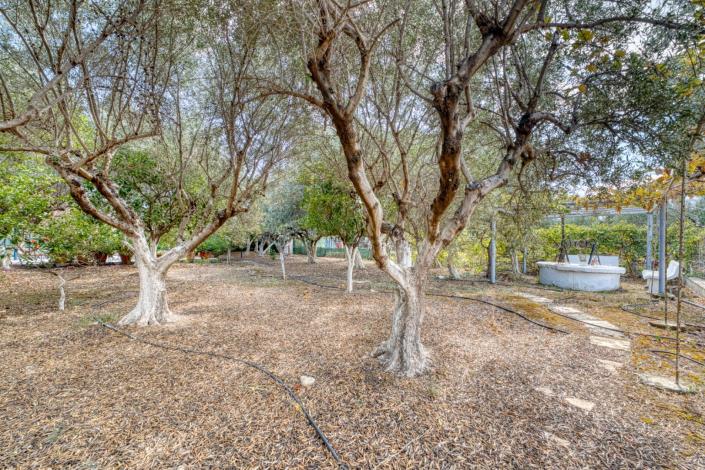 Image No.12-5 Bed Villa for sale