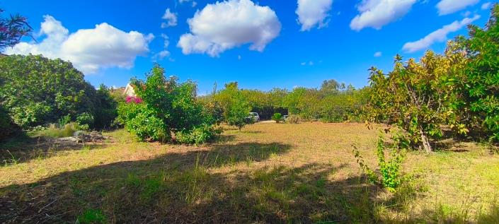 Image No.37-5 Bed Villa for sale