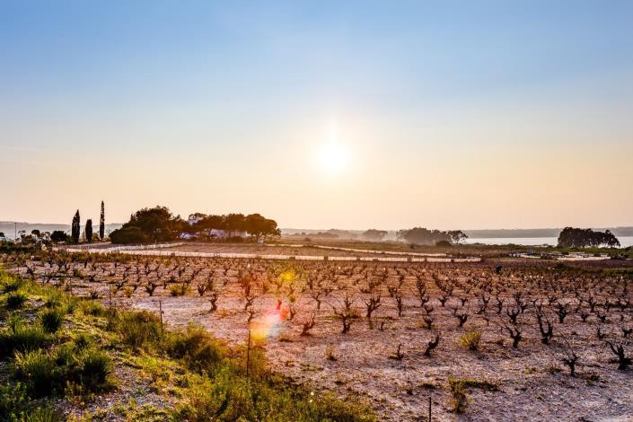 Image No.45-3 Bed Bungalow for sale