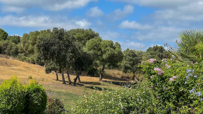 Image No.21-3 Bed Townhouse for sale