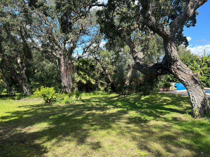 Image No.21-4 Bed Villa for sale