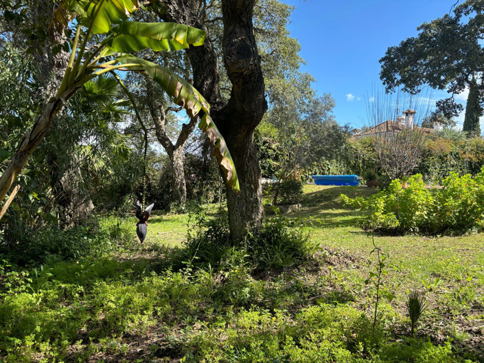 Image No.23-4 Bed Villa for sale