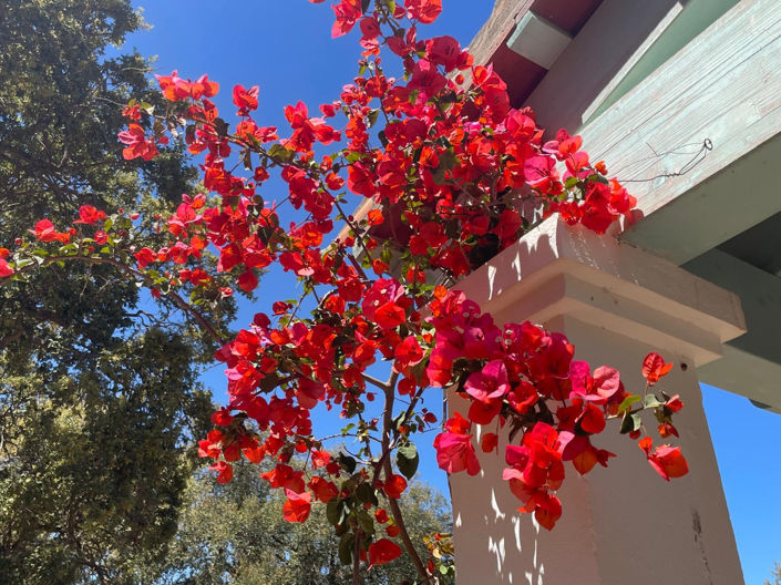 Image No.44-4 Bed Villa for sale