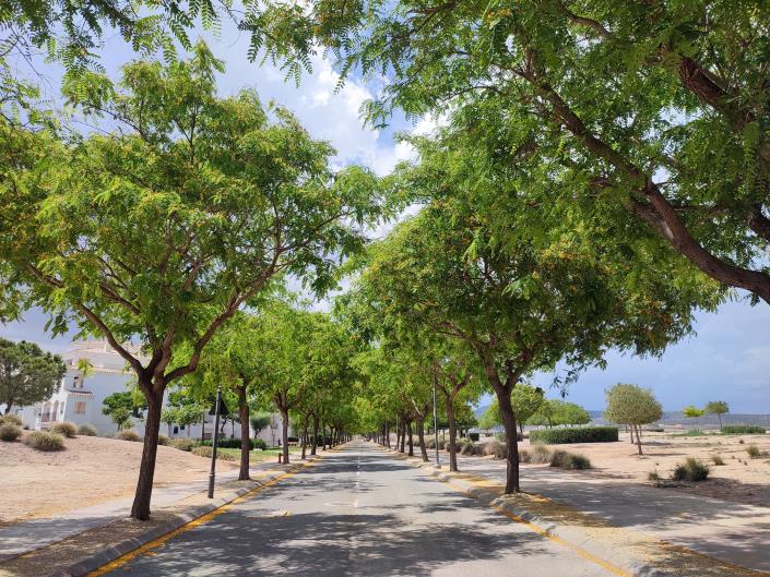 Image No.40-3 Bed Apartment for sale