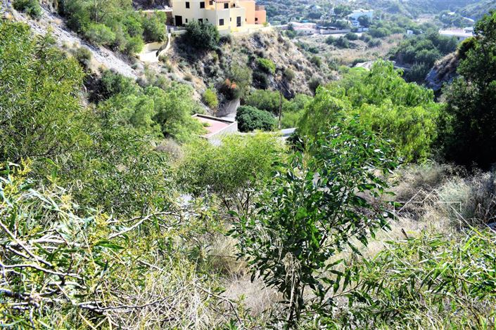 Image No.14-Land for sale