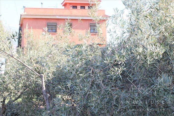 Image No.42-5 Bed Property for sale