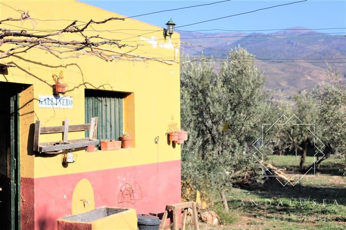 Image No.44-5 Bed Property for sale