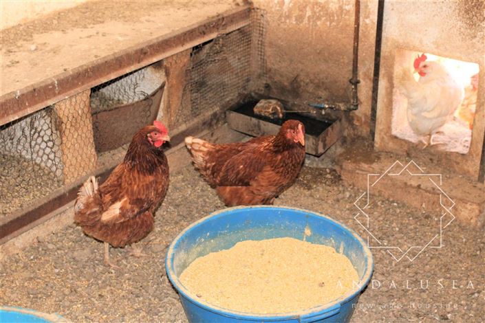 Image No.45-5 Bed Property for sale