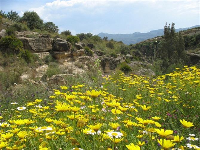 Image No.12-Land for sale