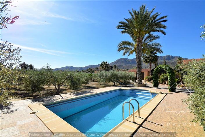 Image No.1-3 Bed Property for sale