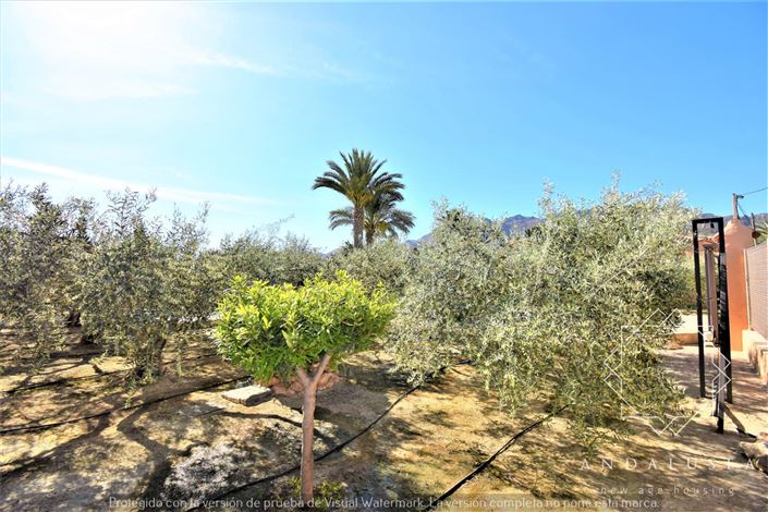 Image No.45-3 Bed Property for sale