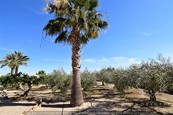 Image No.60-3 Bed Property for sale