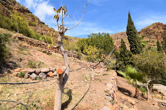 Image No.17-Land for sale