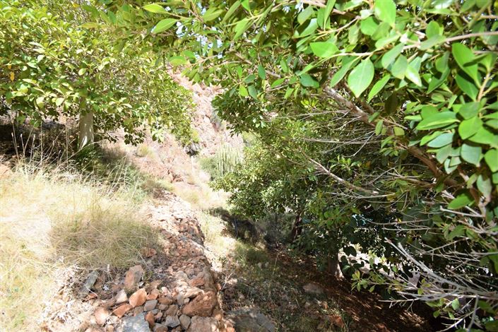 Image No.8-Land for sale