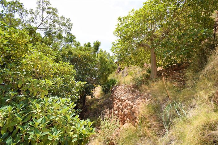 Image No.9-Land for sale