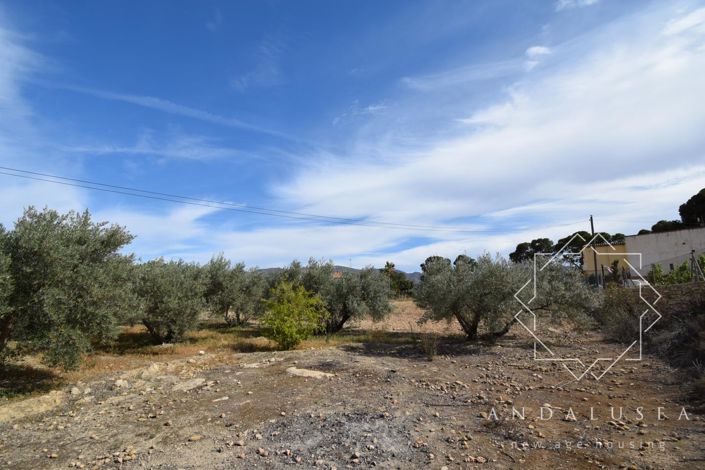 Image No.4-Terre à vendre à Almeria