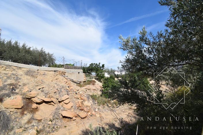 Image No.5-Terre à vendre à Almeria