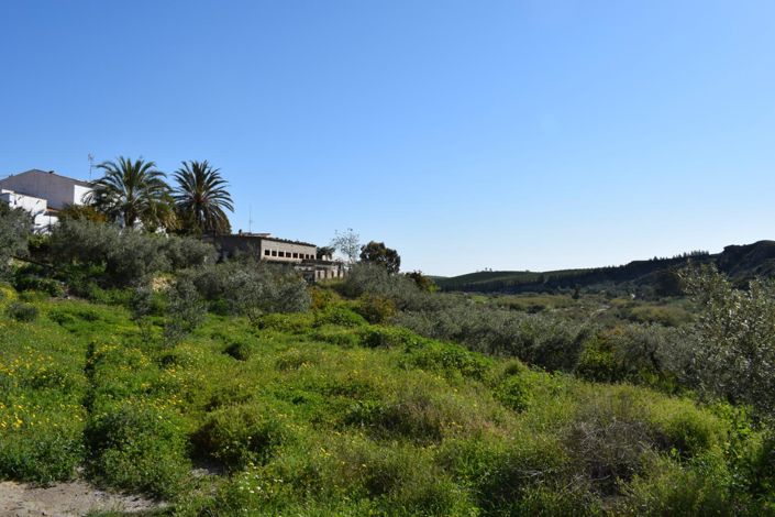 Image No.10-Land for sale