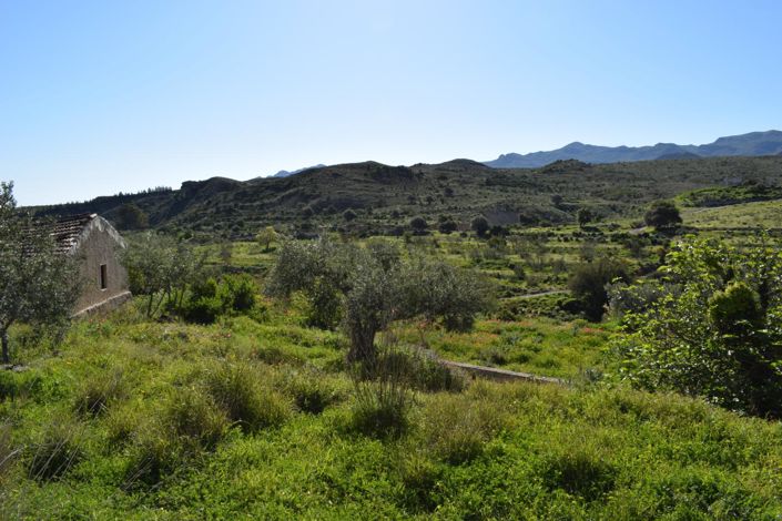 Image No.5-Land for sale