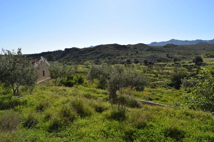 Image No.6-Land for sale