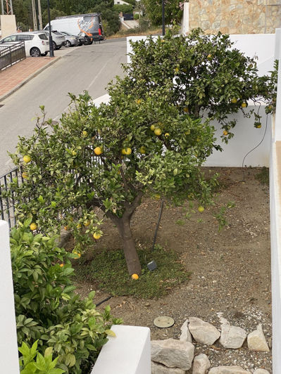 Image No.34-3 Bed Villa for sale