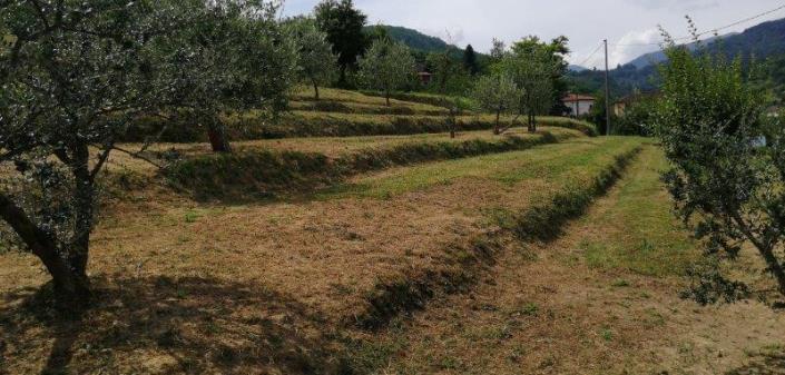 Image No.17-5 Bed Villa for sale