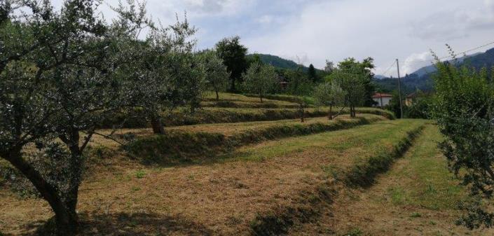 Image No.18-5 Bed Villa for sale