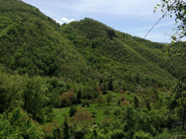 Image No.8-3 Bed House for sale