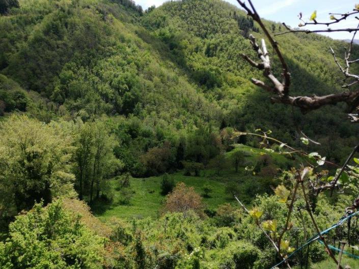 Image No.12-3 Bed House for sale