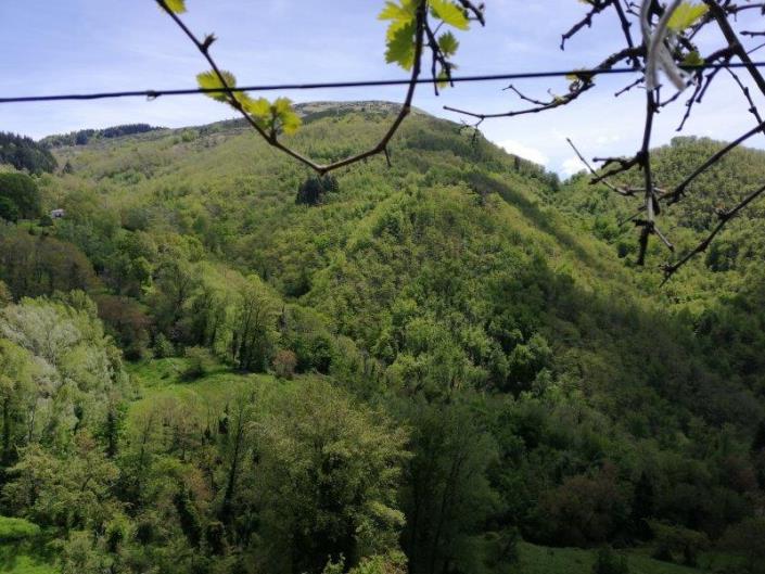 Image No.13-3 Bed House for sale