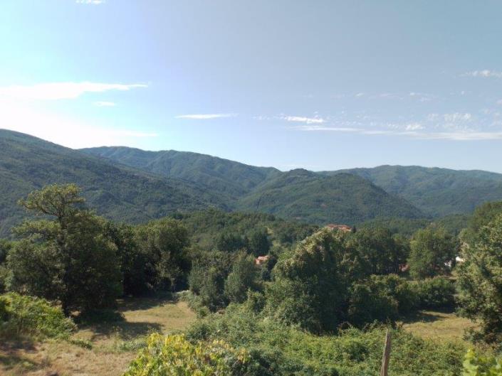 Image No.2-3 Bed House for sale