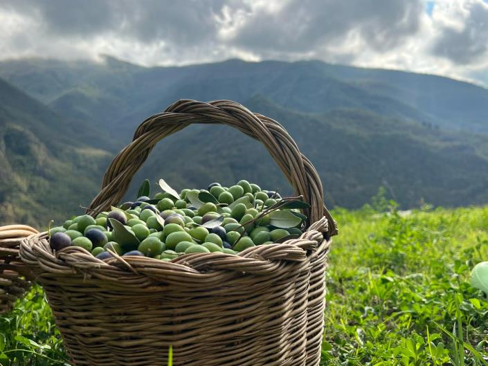 Image No.42-3 Bed House for sale