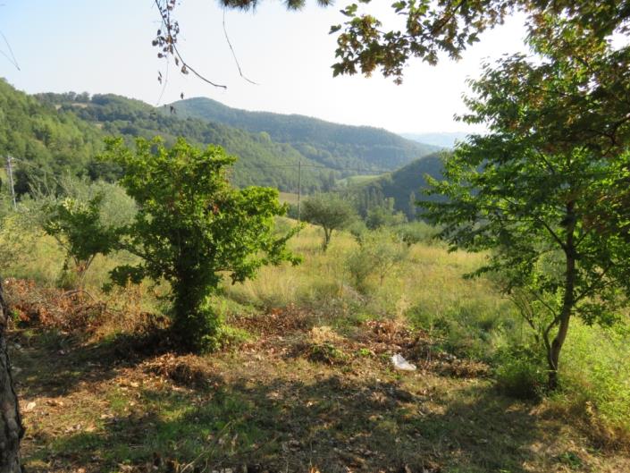 Image No.10-3 Bed House for sale