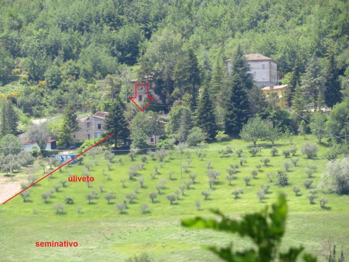 Image No.26-3 Bed House for sale