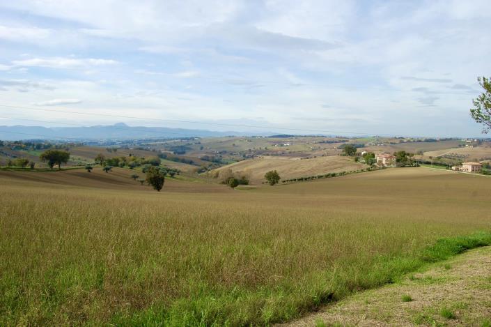 Image No.9-6 Bed Country House for sale