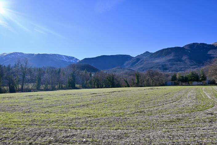 Image No.13-3 Bed Country House for sale