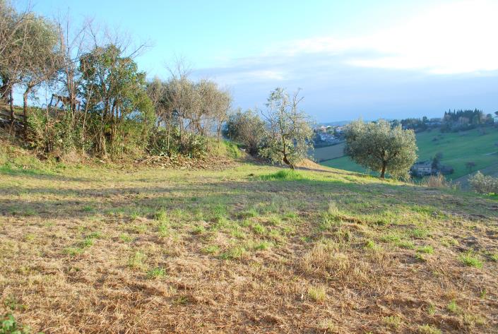 Image No.8-3 Bed House for sale