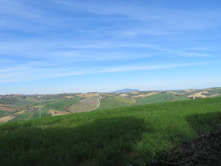 Image No.40-11 Bed House/Villa for sale