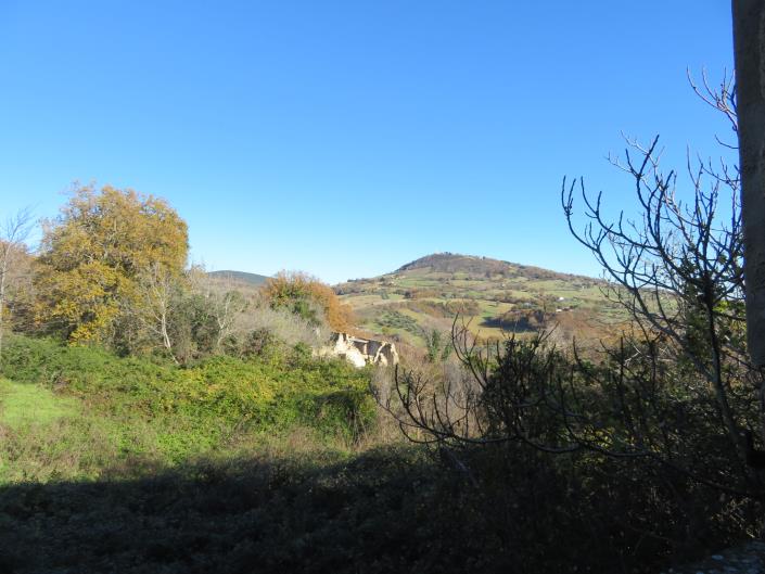 Image No.12-5 Bed Farmhouse for sale