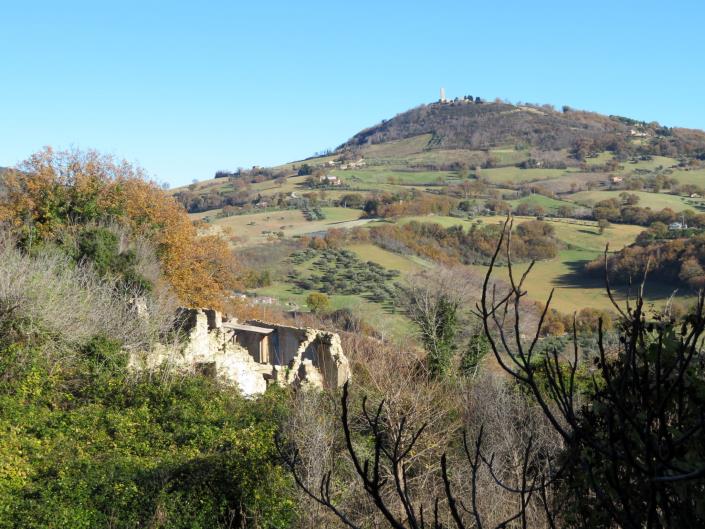 Image No.13-5 Bed Farmhouse for sale