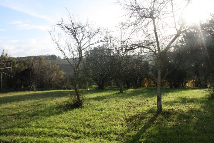 Image No.11-4 Bed Farmhouse for sale