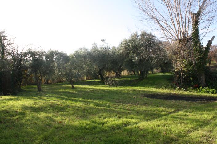 Image No.10-4 Bed Farmhouse for sale