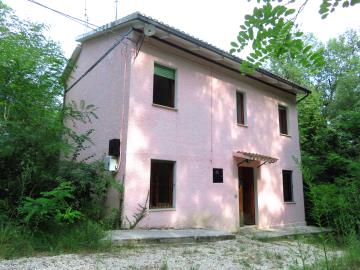1-Esterno