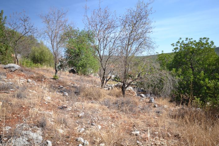 Image No.18-Plot for sale