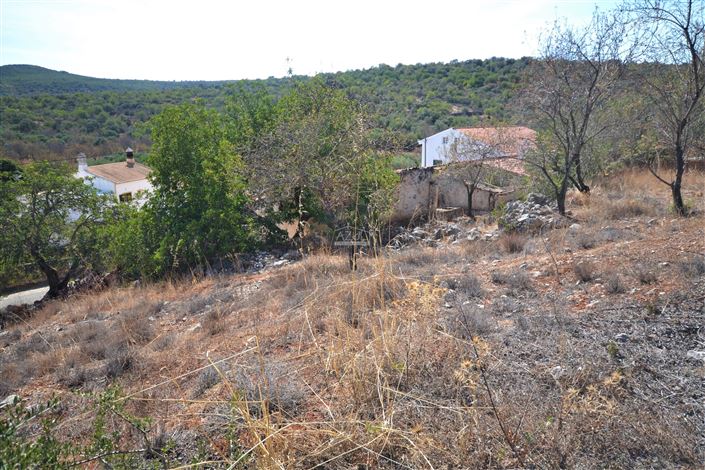 Image No.4-Plot for sale