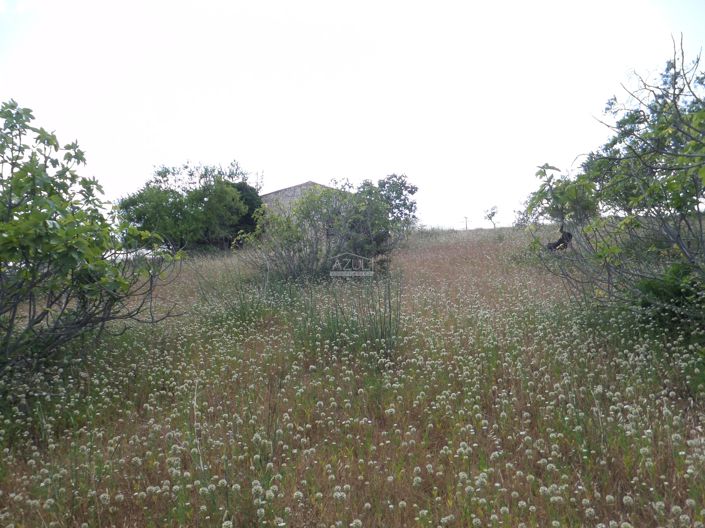 Image No.11-Plot for sale