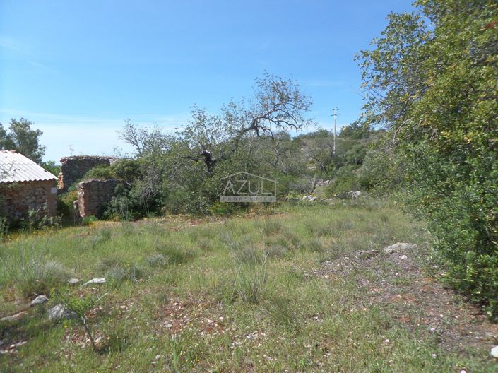 Image No.3-Plot for sale