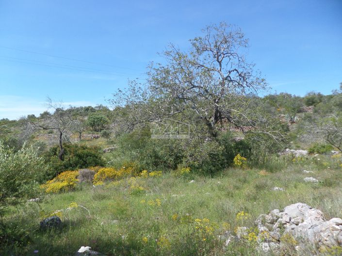 Image No.8-Plot for sale