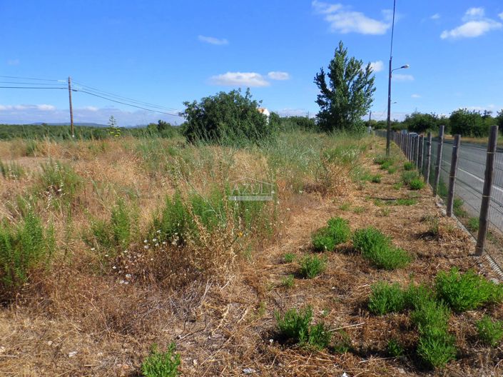 Image No.8-Plot for sale