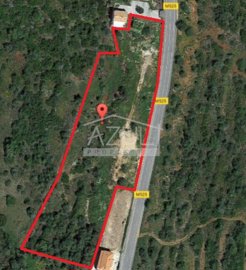 2425-76734-1254606e3c95c5e5ce938638595c7f664a